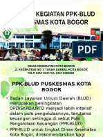 Progres Kegiatan Ppk-Blud Puskesmas