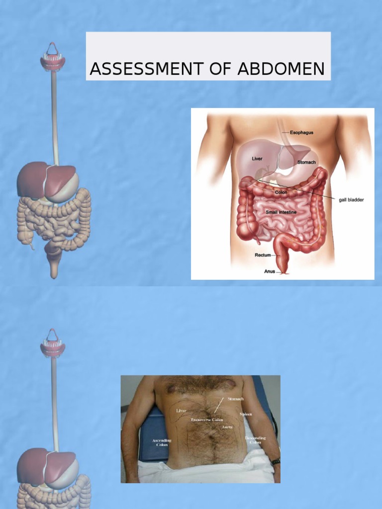 Abdominal Assessment Techniques | PDF | Abdomen | Gastrointestinal Tract