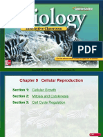 Biology Ch. 9