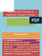 Reproducción Asexual en Bacterias, Plantas y Hongos