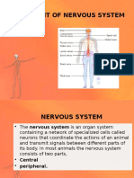Assessment of Nervous System