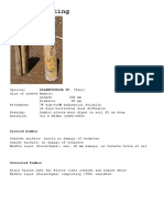 Termite Testing PDF