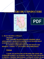 05 Tulburari de Conducere