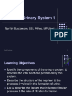 Bu Nurfitri-Genitourinary System 1