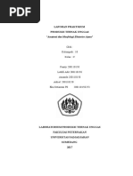 Download LAPORAN PRAKTIKUM Produksi Ternak Unggas  Anatomi Ayam by penandang SN343168211 doc pdf