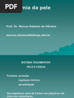 Aula 3 Sistema Tegumentar