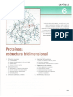 Cap 6. Proteinas Estructura Tridimencional.pdf