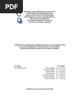 Proyecto Brigada Ambientalista (San Miguel-unefm)