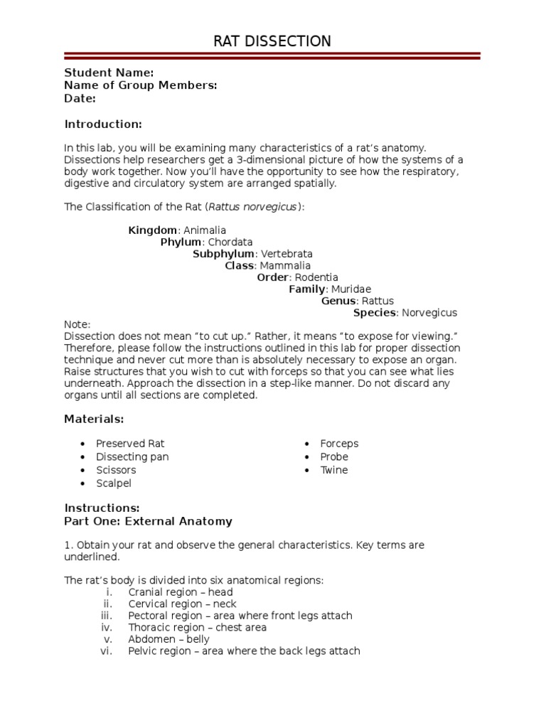 worksheet Rat Dissection Worksheet rat dissection student version small intestine gastrointestinal tract