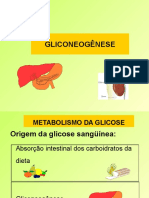 Gliconeogenese