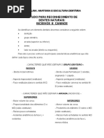 Texto Reconhecimento de Incisivos e Caninos