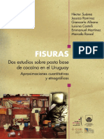 FISURAS Estudio Pasta Base en Uruguay