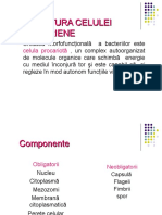 03 - Structura Celulei Bacteriene