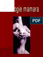 03 Patologia Mamara Red