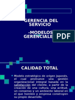 gerencia-del-servicio-1234739440402618-3