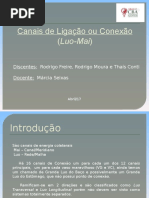 Canais de Ligação Ou Conexão (Luo-Mai)