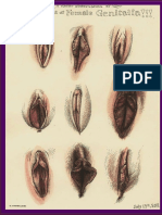 Guía profesionales de la salud sexual femenina.pdf