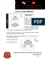 Ficha Técnica Válvula Siamesa PDF