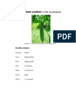 Download TANAMAN GAMBAS by Hendrik_Nurfitrianto SN34322432 doc pdf