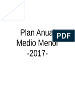 Planificación Anual Medio Menor 2017