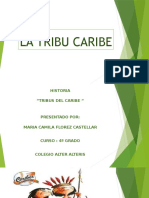 Diapositivas La Tribu Caribe - Maria Camila Florez