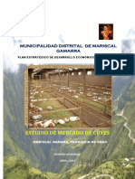 Estudio de mercado de M. Gamarra.pdf