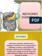 nefropati diabetikum