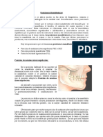 Fisio - Posiciones mandibulares.pdf