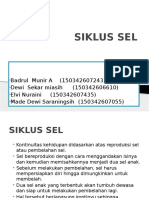 Siklus Sel