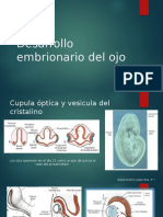 Desarrollo Embrionario Del Ojo