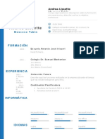 Plantilla Curriculum Vitae 8