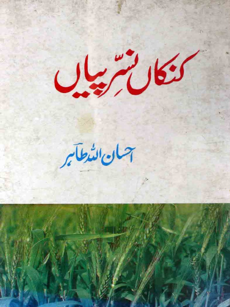 Kankan Naserpian PDF