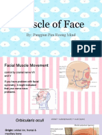 anatomy  face muscle 