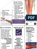 Leaflet Selulitis