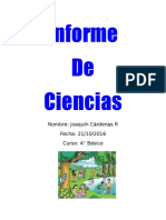 Informe de Ciencias