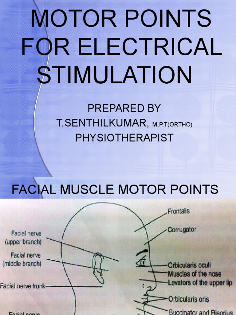 Motor Points for Electrical Stimulation | PDF | Science & Mathematics