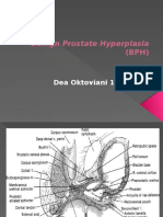 Benign Prostate Hyperplasia (BPH)