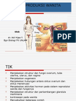 Sistem Reproduksi Wanita