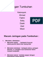 Jaringan Tumbuhan