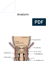 Anatomi & Histologi Anus