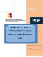 Estrategia CONE 2013