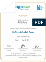 PDU Six Sigma Yellow Belt 2016-09-28-12-27-33 (1).pdf