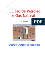 Livro Petrobras Medição