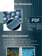 Hollow Fibre Membrane Module