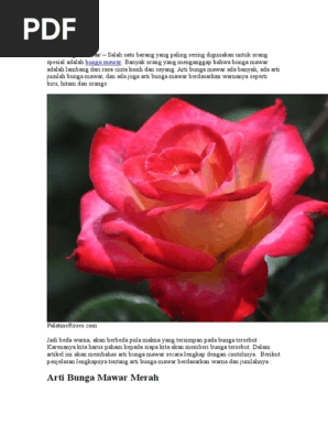 Fantastis 15 Bunga Mawar Kau Berikan Gambar Bunga Indah Fantastis 15 Bunga Mawar Kau Berikan Gambar Bunga Indah