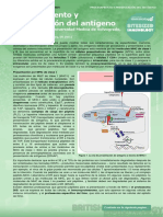 Antigen Processing and Presentation (Procesamiento y Presentación Del Antígeno)