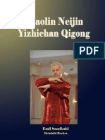 Shaolin Neijin Yizhichan