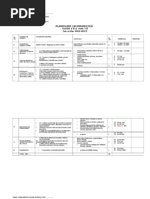 Planificare Calendaristica Clasa 5 Educatie Plastica