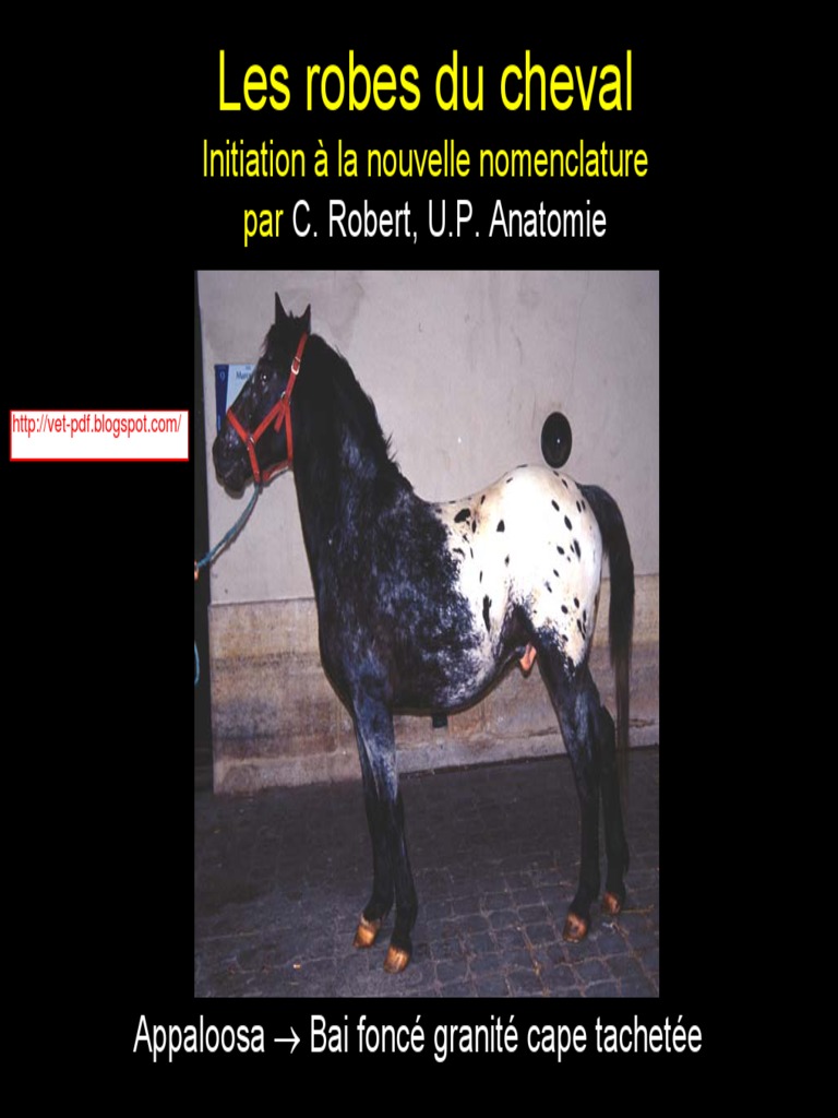 Les différentes robes des chevaux | PDF | Bétail | Races de mammifères