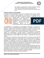 Sistema de Reparacion de Tejido PDF